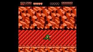 Frogs and Snakes - Battletoads Part 3