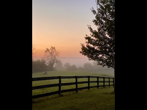 Why Walk - Carpenter Mary Chapin