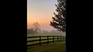 Mary Chapin Carpenter - Songs From Home Episode 27: Why Walk When You Can Fly