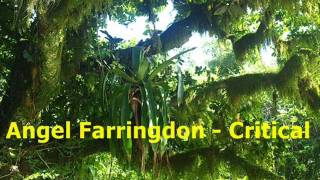 Angel Farringdon - Critical