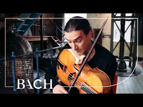 Malov on the violoncello da spalla BWV 1012 | Netherlands Bach Society Video