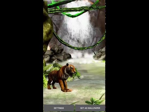 Waterfall 3D Live Wallpaper Video