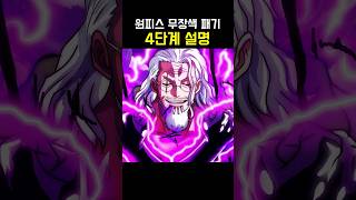 원피스 무장색 패기 4단계 설명