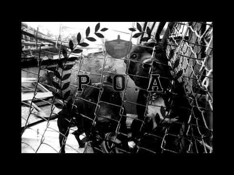 P.O.A - KA VRHU ( Official Audio )