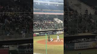 【TeamTaiwan】#林澤彬應援 #賴可 #維心 #芃芃  #冬季聯盟@斗六棒球場 20241130 #台湾チア #cheerdance #cheerleader #cpbl #awb