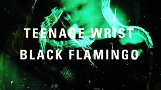 Black Flamingo Music Video