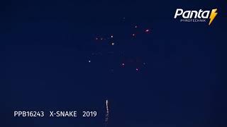 Kompaktni_ohnostroj_X_snake_PPB16243