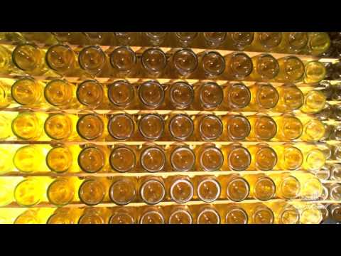 Spot cava Oriol Rossell