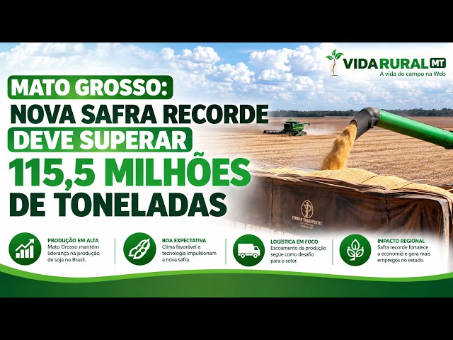 NOVA SAFRA RECORDE DEVE SUPERAR 115,5 MILHÕES DE TONELADAS