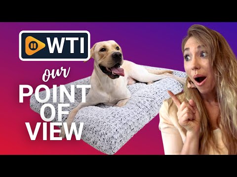 KSIIA Washable Dog Beds - WTI product video review