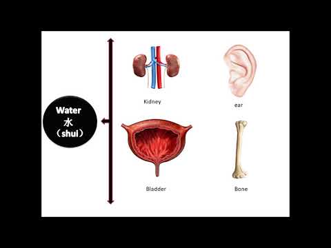 Traditional Chinese Medicine (TCM)-Wu-Xing（五行）