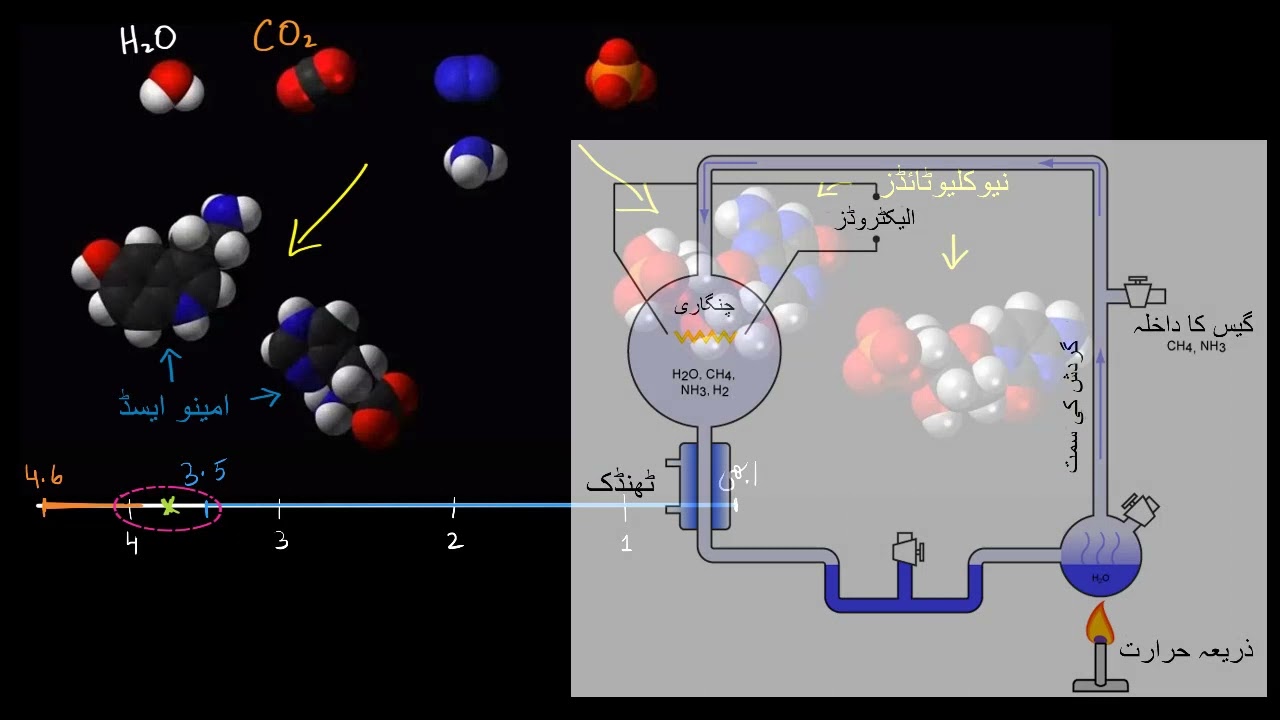 Origins of life  | Biology |  Khan Academy Urdu