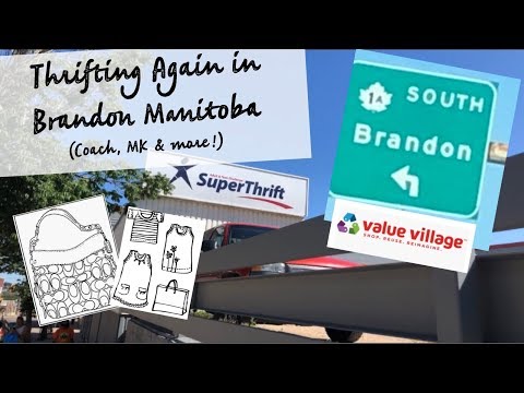 download lagu mp3 mp4 Brandon Casual Living, download lagu Brandon Casual Living gratis, unduh video klip Brandon Casual Living