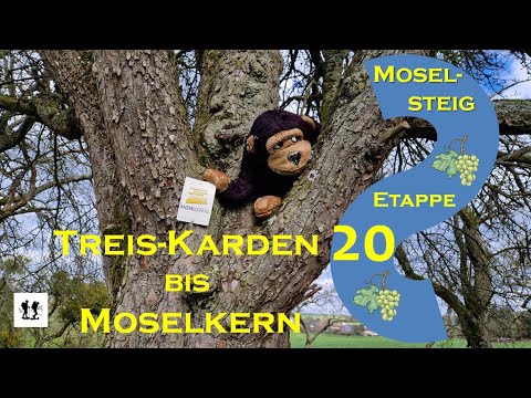 Moselsteig, Etappe 20: Von Treis-Karden nach Moselkern