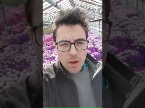 Azienda Mattia Caviglia