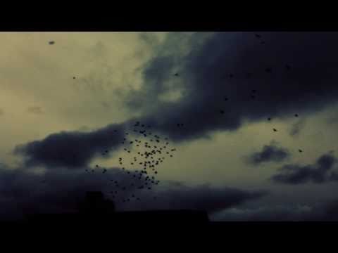 inkwaiimemory’s Video 111164733789 _2AORrT-tt0