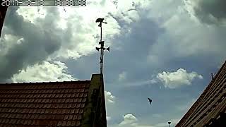 Download lagu BATTLE  2 OF CIVIL WAR - Sp combo Plus by taberi atax walet O kiss mp3