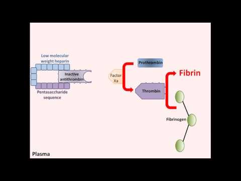 Heparin - Mechanism of Action