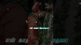 Download lagu #Adi yaaradhu #romanticsong #love #lovemusic #viral #youtube #whatsapp_status #90s#lyrics #like 💞🫂😘 mp3