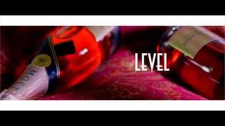 Level - So In love feat. Juvenile & BOX (Official Music Video)