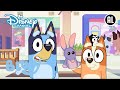 Bluey | ? Een weekend met Bob | Disney Channel NL