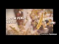 Nestle Nestum Favours TVC