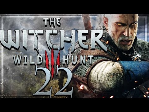 The Witcher 3 Wild Hunt Walkthrough Part 22