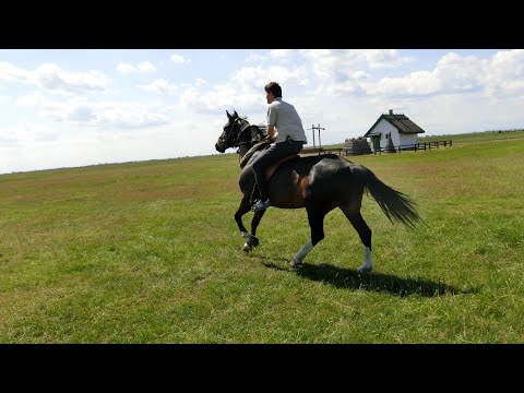 Wanderritt bis ans Schwarze Meer