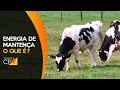 Curso Administração da Pequena Empresa Rural