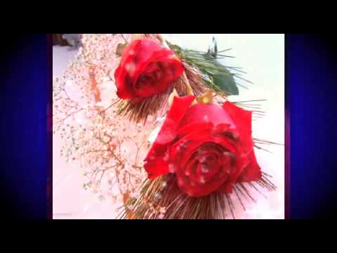 Amor E Flores video