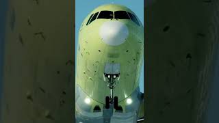 MC21 Aircraft