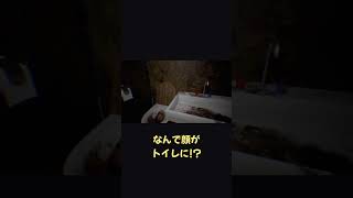トイレに顔があるのに「よかった」で済ませるなｗ【ホラフキン】 #Shorts