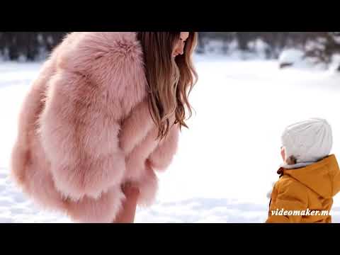 Fox Fur – Classic and Elegant 0