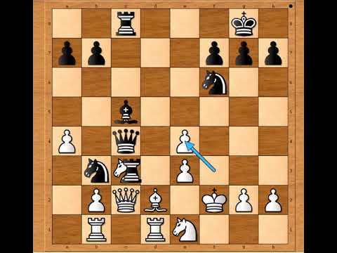 Neverovatni pritisak napad svim mogućim figurama na Kralja ○ FUSTER vs SZABO# 1534