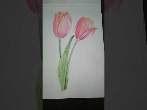 flower drawing🌷💐...(part-1)#shorts