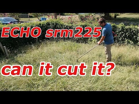 Echo SRM-225 Overgrown Grass Test