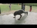 Fit India Hit India