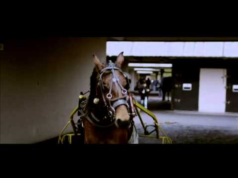 Le Prix d'Amérique Marionnaud 2011, un condensé d'émotion