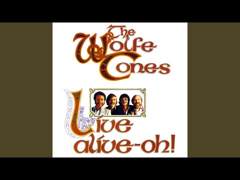 The Boys Of The Old Brigade