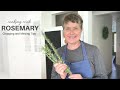 COOKING WITH ROSEMARY | Chopping and Mincing Tips