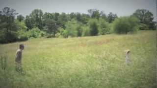 Todd Rundgren Torch Song