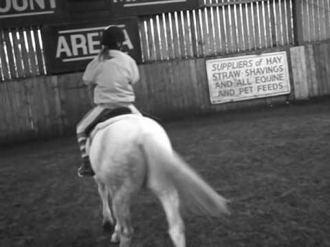 SquishyWishy96, FRAN & WISHES ♥