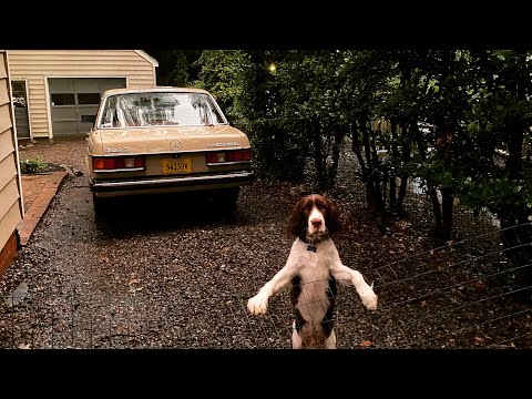 1984 Mercedes Benz 300d Turbo Diesel W123