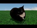 Maxwell The Cat Dance 1 Hour