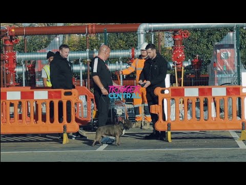 Constantin - Robando perros 🇷🇴 @lloydylloyd_ @Discoboy