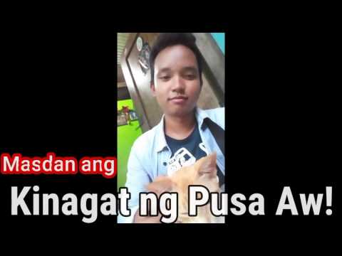 Download song lyrics na mawalan ng timbang Kung paano mangayayat mabilis sa isang linggo sa soda