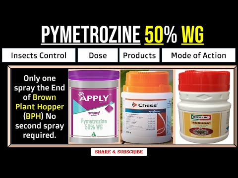 Phess Pymetrozine 50% Wg Insecticide