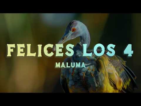 Maluma - Felices los 4 (Lyrics/Letra)