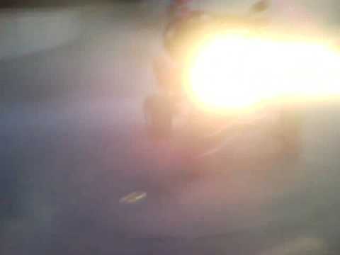 Quad Starkowa Huta 2008 Chmiel