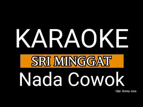 SRI MINGGAT - SONNY JOZS - KARAOKE (KOPLO) NADA COWOK